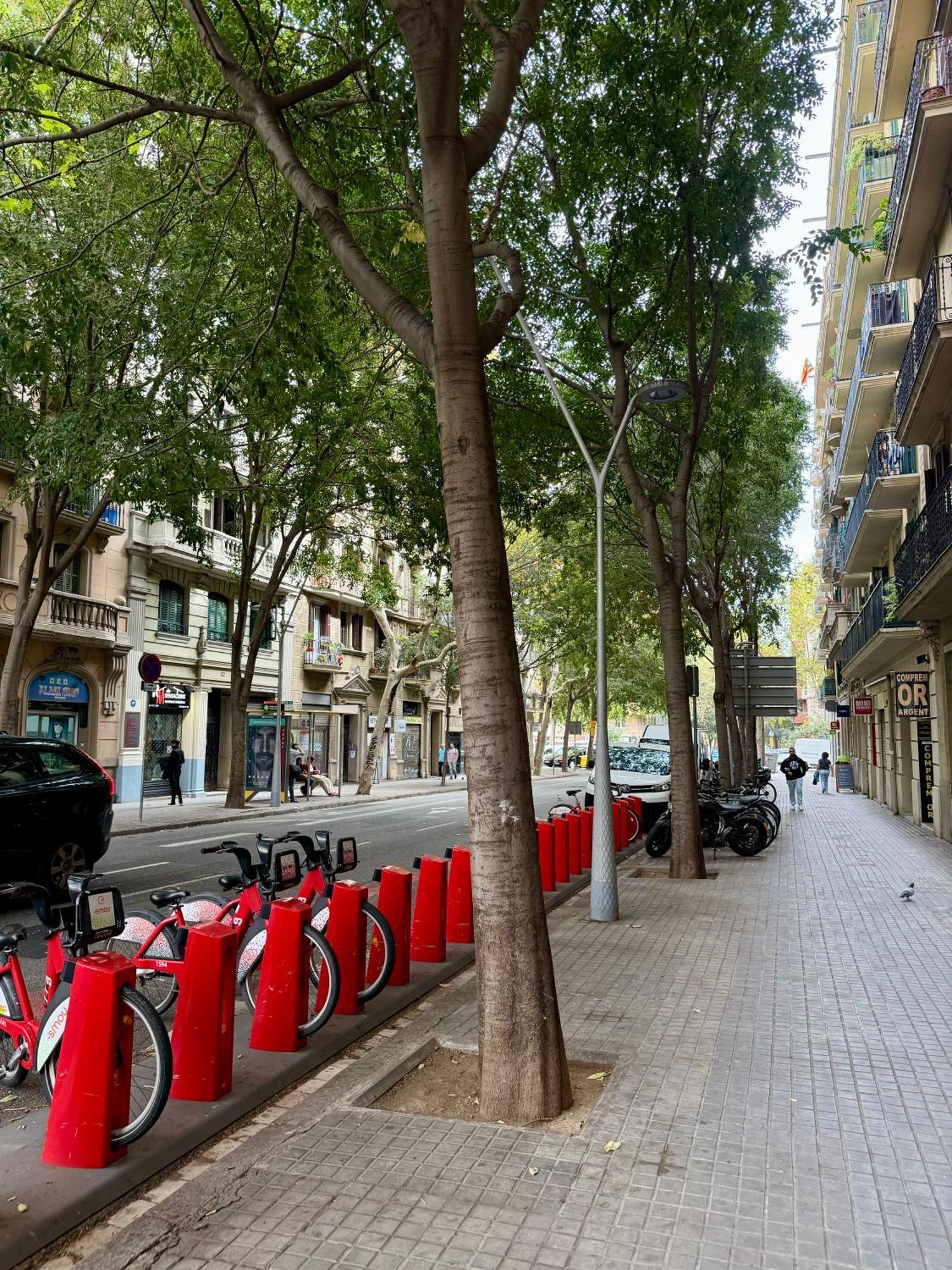Newly Renovated Stylish Eixample - Great Location Barcelona Exteriör bild